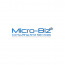 Micro-Biz Consulting & Services