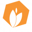 Midnay Webware Solutions