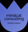 Mindcat Technology Consultants FZE