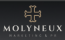 Molyneux Marketing