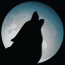 MoonDog