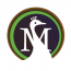 Moreweb Solutions