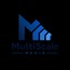 MultiScale Media