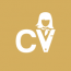My CV Consultant