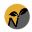 Narish International LLC