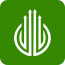 NBNM Global