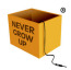Never Grow Up Pte. Ltd.