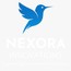 Nexora India Private Limited
