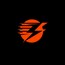 NFW Web Studio