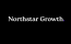 Northstar Growth