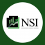 NSI Financial and Accounting Services