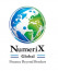 NumeriX Global Private Limited