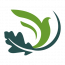 OakTree Accounting & Corporate Solutions Pte Ltd
