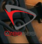 Oareeses