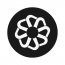 Octopi Digital LLC