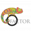 Ofactor Communications