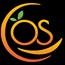 OrangeSkill Technologies Pvt. Ltd.