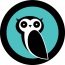 OwlSurf Digital
