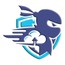 PAIDNINJAS SOFTWARE & IT SOLUTIONS