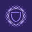 Paladin Blockchain Security