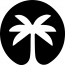 Palm Consulting