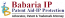 IP Lawyer Babaria IP & Co.