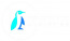 Penguin Eye Digital Marketing