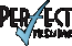 Perfect Resume UAE