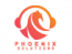 Phoenix Solution