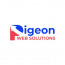 Pigeon Web Solutions