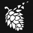 Pine Studio