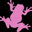 Pink Frog Interactive