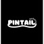 Pintail Digital