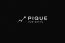 Pique Insights