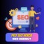 PRO SEO House