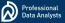 Professional Data Analysts