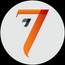 Project Seven