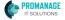 Promanage IT Solutions