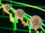 Puran Crypto Recovery