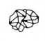 Qognition Agency