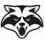 Raccoon Soft