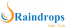 Raindrops InfoTech