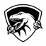Raptor IT Consultants