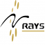 Rays TechServ