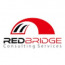 Redbridge Consulting Services