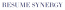 RESUME SYNERGY