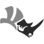 RHYNO Networks