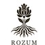 ROZUM Studio