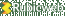 Rubic Web