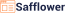 Safflower Infotech